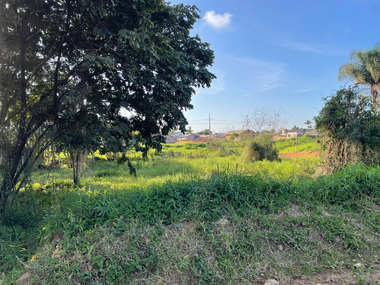 Imagem destaque do imovel Terreno - Venda - Terreno Rua 1009